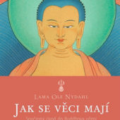 Kniha „Jak se věci mají“ přináší ucelený obraz buddhismu