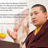 Karmapovo přání do nového roku